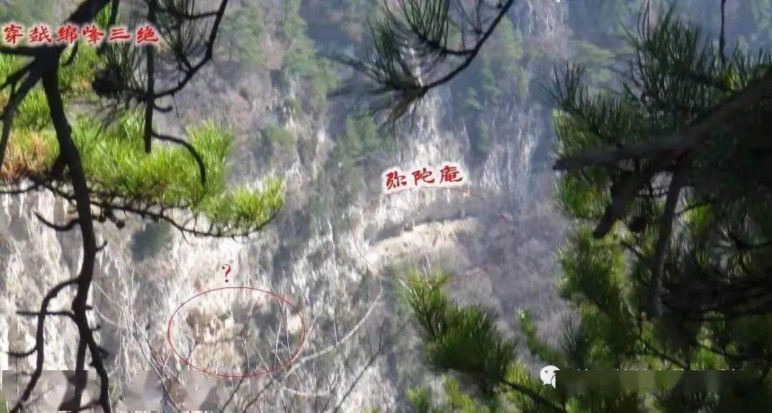 电视剧《半是蜜糖半是伤》是一部什么类型题材剧？