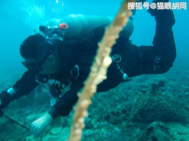 救援美丽小姑娘