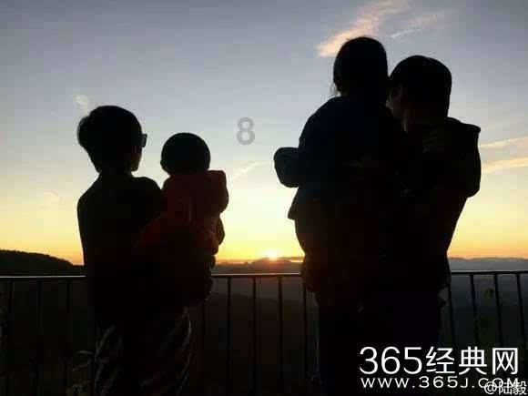 美人鱼的聚会