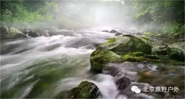 冬游丽水：庆元山野冬日之美，好治愈呀！